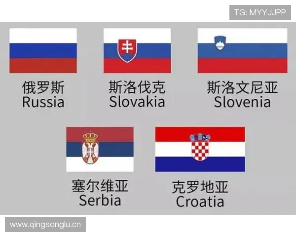 斯洛伐克队史首次晋级欧洲杯16强 斯洛伐克队史首次晋级欧洲杯16强