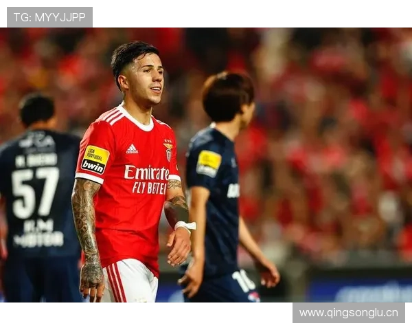 从河床到本菲卡再到切尔西：恩佐职业生涯全景复盘