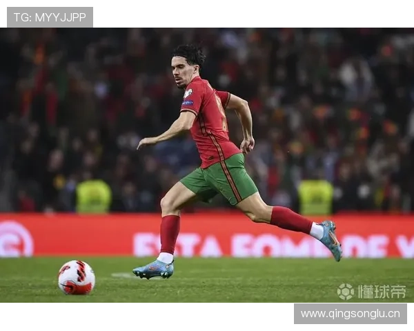 维蒂尼亚潜力与成长空间分析：未来能否迎来爆发