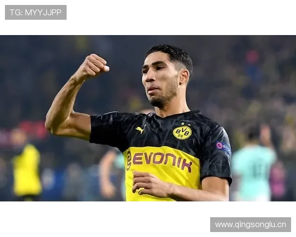 阿什拉夫：对比阿诺德——冲击型与组织型边卫差异