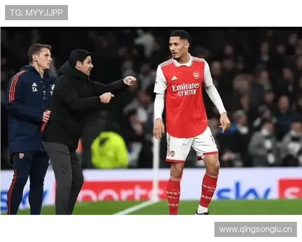 萨利巴与范戴克：新生代中卫与顶级标杆对比分析